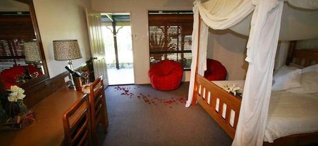 Bearded Dragon Boutique Hotel Bearded Dragon Boutique Hotel